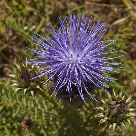 Hotel Rural Quinta Do Marco - Nature & Dining