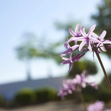 Rural Quinta Do Marco - Nature & Dining 4* Tavira