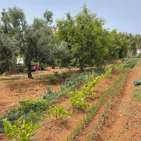 Rural Quinta Do Marco - Nature & Dining 4* Tavira