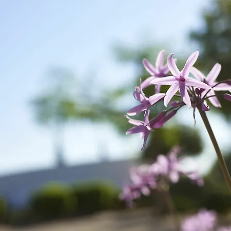 Rural Quinta Do Marco - Nature & Dining 4*