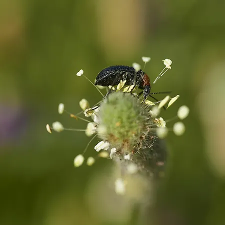 Rural Quinta Do Marco - Nature & Dining