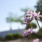 Rural Quinta Do Marco - Nature & Dining 4* Tavira