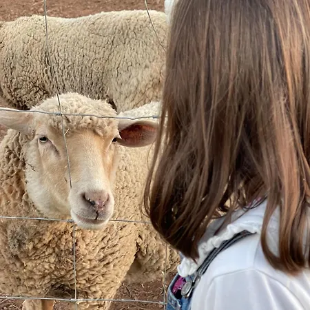 Rural Quinta Do Marco - Nature & Dining Tavira