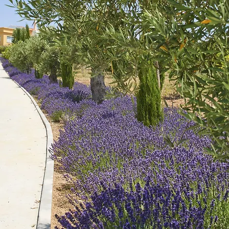 Rural Quinta Do Marco - Nature & Dining 4*