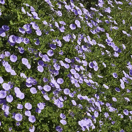 Otel Rural Quinta Do Marco - Nature & Dining Tavira