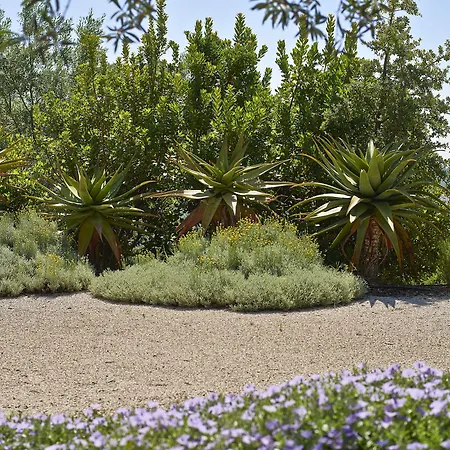 Otel Rural Quinta Do Marco - Nature & Dining