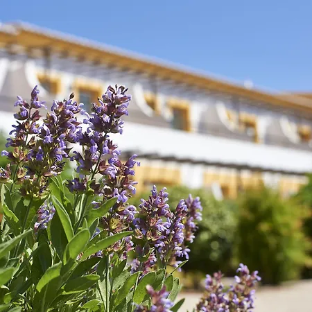 Rural Quinta Do Marco - Nature&dining Tavira