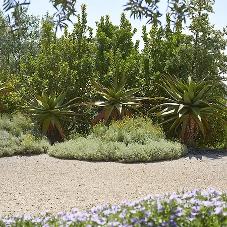 Rural Quinta Do Marco - Nature&dining