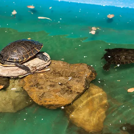 Rural Quinta Do Marco - Nature & Dining Hotel Tavira