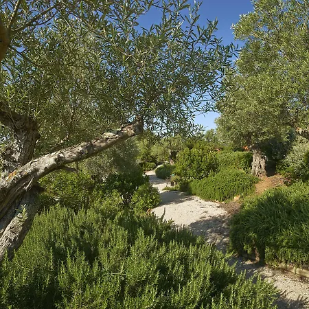 Hotel Rural Quinta Do Marco - Nature & Dining 4*