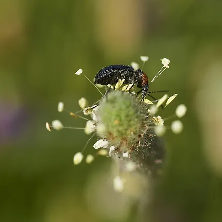 Rural Quinta Do Marco - Nature & Dining Hotel 4*
