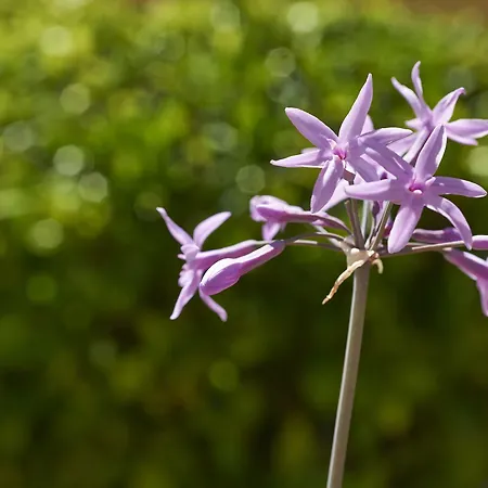 Rural Quinta Do Marco - Nature & Dining Hotel 4*