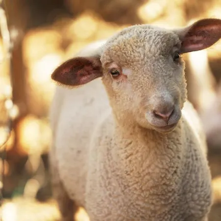 Hotel Rural Quinta Do Marco - Nature & Dining